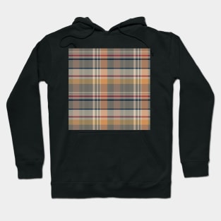 Autumn Aesthetic Iona 1 Hand Drawn Textured Plaid Pattern Hoodie